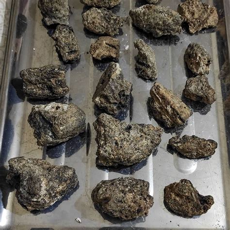 ambergris prices